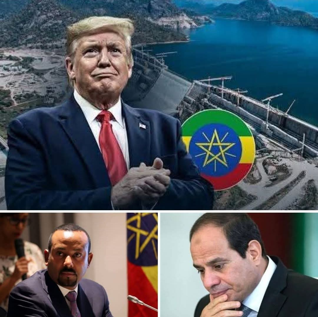 بالنسبة لرسالة ترامب: إثيوبيا تصعد وتدعم حقها بحصة عادلة لأكثر من 40% من مياه النيل بدلًا من أقل من 3%.
